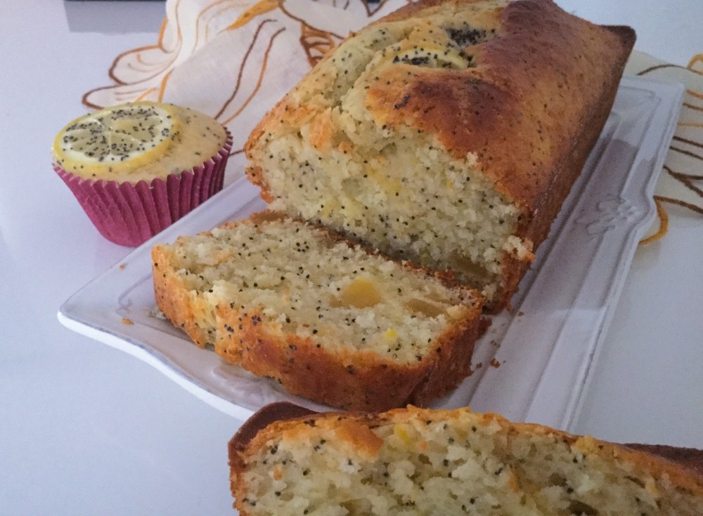 12C2510E-28F2-4118-95ED-4E1A9987BB01